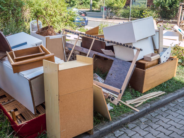 Best Professional Junk Removal  in Walcott, IA