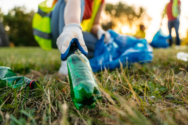 Best Yard Waste Removal  in Walcott, IA